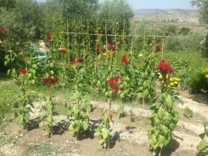 Galeriebild der Unterkunft Cortijo La Huerta in Pilas de Fuente Soto