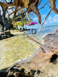 Photo de la galerie de l'établissement Le HAVAII Beach Lodge, à Taputapuapea