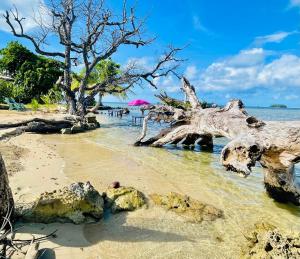 Photo de la galerie de l'établissement Le HAVAII Beach Lodge, à Taputapuapea 19 autres photos
