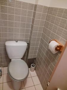 a bathroom with a toilet and a roll of toilet paper at Féerie de la Vigne in Ammerschwihr