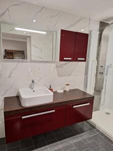 ベルジェール・レ・ヴェルテュにあるGite en Champagneのバスルーム(シンク、赤いキャビネット付きのシャワー付) +21枚の写真