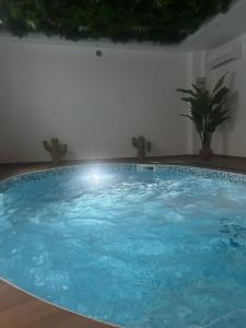 Πισίνα στο ή κοντά στο Olbia City Hotel