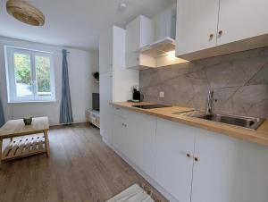 Η κουζίνα ή μικρή κουζίνα στο Studio cosy rez de chaussée proche nature