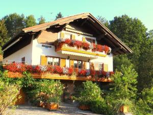 Budova, kde se apartmán nachází + 29 fotografií