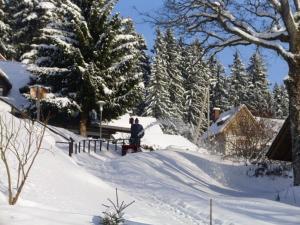 a person is standing in the snow at Ferienhaus Elfi in Oberbränd