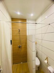 ein Badezimmer mit Dusche und Toilette in der Unterkunft Schöne 2 Zimmer Wohnung Apartment Holzappel Herthasee Ferienwohnung in Holzappel