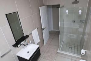 a bathroom with a shower and a sink and a mirror at Ecam in Antwerp