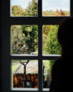 Fotografie z fotogalerie ubytování Hotel Fonte Velha v destinaci Ponte da Barca