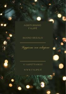 a christmas tree with lights in the background at Agriturismo Falipè in Pineto