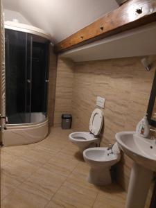 a bathroom with a toilet and a sink at ANNA Home in Craiova