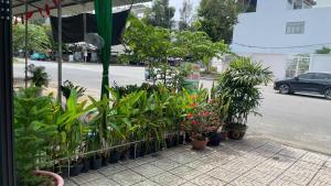 Κήπος έξω από το Nhà nghỉ Candy's House - Cần Thơ