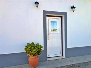 Un jarrón naranja junto a una puerta con una planta en Recanto do Ti Ze II, en Aldeia do Mato