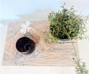 a wooden box with two potted plants on it at Studio Lagoon Apartment in Salamander Bay