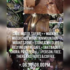 Fotografie z fotogalerie ubytování มาร์ติน ออแกนิคฟาร์ม &แค้มป์ 