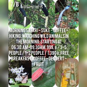 Billede fra billedgalleriet på มาร์ติน ออแกนิคฟาร์ม &แค้มป์ 