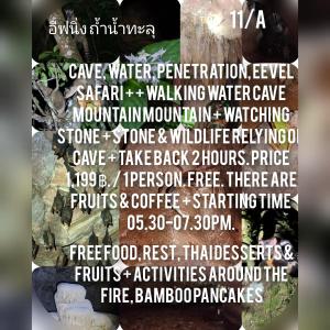 Billede fra billedgalleriet på มาร์ติน ออแกนิคฟาร์ม &แค้มป์ 