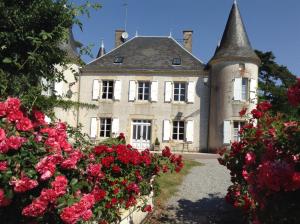 une vieille maison avec des fleurs devant elle dans l'établissement Chateau L'Orangerie, à Le Chillou