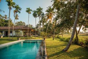 a swimming pool in front of a house with palm trees at Rice House in Habaraduwa