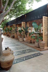 a building with a bunch of chairs and potted plants at HEBE Hotel & Hostel in Sawah
