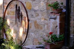 Un espejo sujeto a una pared de piedra con algunas plantas en Monolocale, en Radicondoli