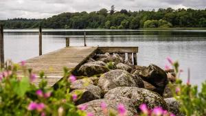 un molo su un lago con rocce e fiori rosa di Nordic Family Home - Forest & Lake - 29 Min To CPH a Fredensborg