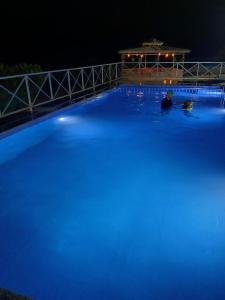 a man in a swimming pool at night at The Malshej Mist in Ghātghar