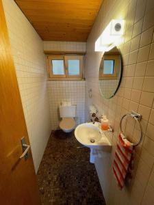 a small bathroom with a toilet and a sink at Chalet Hofer in Hasliberg Wasserwendi