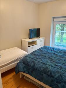 a bedroom with a bed and a tv on a dresser at Le Noisetier in Baguer-Pican +3 photos
