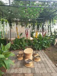 Zahrada ubytování Seven farm