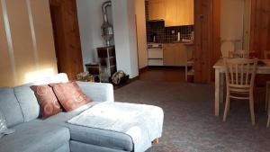 Η κουζίνα ή μικρή κουζίνα στο Ferienwohnung Ritz