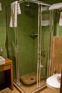 a bathroom with a shower and a toilet and a sink at Astros Beach Boutique Hotel in Paralio Astros