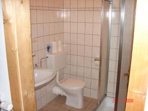 ein kleines Badezimmer mit Toilette und Waschbecken in der Unterkunft Gruppenhaus Hirzhof in Auberg