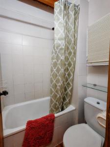 a bathroom with a toilet and a shower curtain at Dúplex rústico familiar- Amplitud y vistas espectaculares - Cuc 2 in Pla de l'Ermita