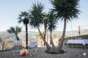 twee palmbomen en twee stoelen en een tafel met een bal bij Perla d'aMare in San Lorenzo al Mare +10 foto's