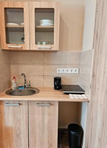 Kuchyň nebo kuchyňský kout v ubytování Mediterrán Villa Kecskemét + 59 fotografií