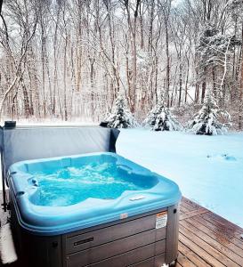 Luxury Cabin for Rent near the Shenandoah National Park, Virginia v zimě