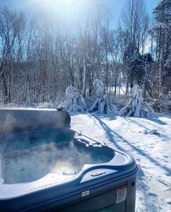 Luxury Cabin for Rent near the Shenandoah National Park, Virginia v zimě