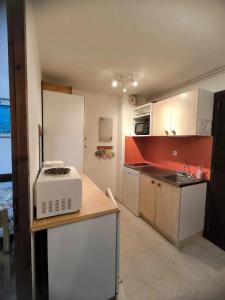 普拉茲德里斯Studio moderne à Taninges avec vue sur les montagnes - 35 m²的厨房的台面上配有微波炉
