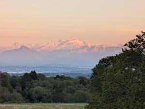 vistas a una cordillera con árboles en el primer plano en Auberge Des Chasseurs, en Échenevex 4 fotos más
