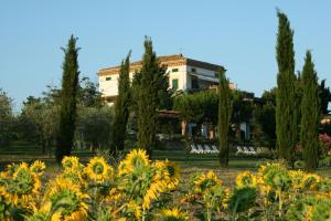 un edificio detrás de un campo de flores en Agriturismo Villa Fiore, en Torano Nuovo