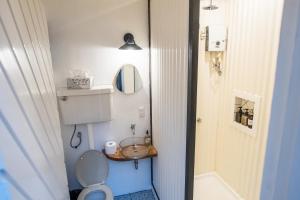 a small bathroom with a toilet and a mirror at Kelana Nest Camper and Shed - Monkeys, Bats, AC, PetFriendly, BBQ in Subic Bay Intl