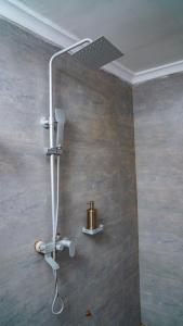 una ducha en la esquina de un baño en Infinity Homes Apartment Dodoma, en Dodoma