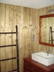a bathroom with a sink and a mirror at Chateau st-auriol - le caviste in Saint-Pierre-des-Champs