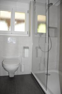 フィッツナウにあるFerienwohnung Mätzliのシャワーとトイレ付きの白いバスルーム +1枚の写真