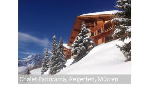 a building on a snow covered mountain with trees at Panorama 2 Bett Wohnung in Mürren