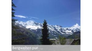 a view of a snow covered mountain with a tree at Panorama 2 Bett Wohnung in Mürren