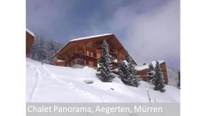 a log cabin in the snow with trees in front at Panorama 2 Bett Wohnung in Mürren +14 photos
