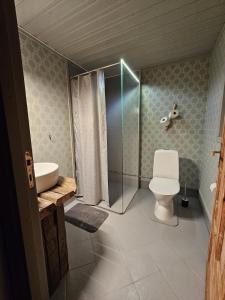 a bathroom with a toilet and a shower and a sink at Marlens mysiga B&B in Pålänge