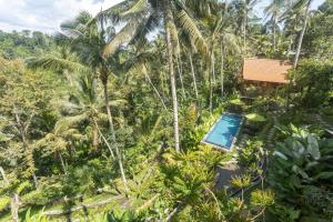 Φωτογραφία από το άλμπουμ του Kawiya Healing Retreat Sanctuary σε Tampaksiring