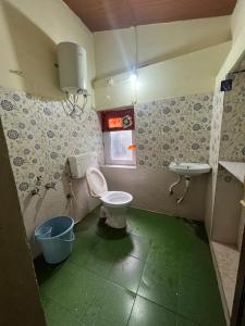 a bathroom with a toilet and a sink at The Groot in Ooty